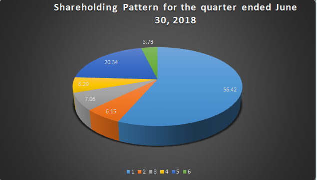 shareholding Eng 2018